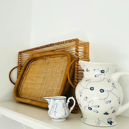 Holiday Home With Terrace And Lounge Near Vig