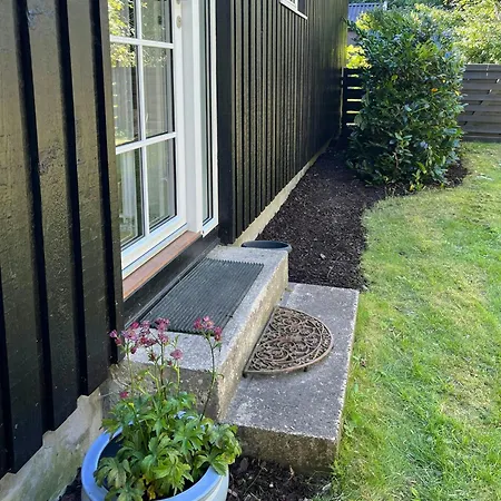 With Terrace And Lounge Near