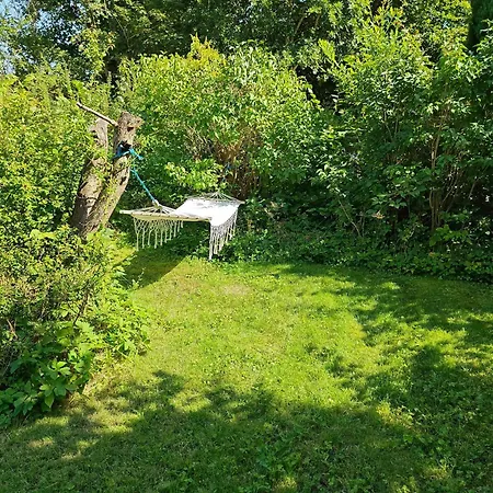 Holiday Home With Terrace And Lounge Near Vig * Vig
